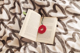 Punto de libro de ganchillo