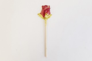 Rosa roja de chocolate blanco