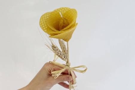 Rosa de cera amarilla